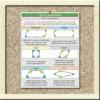 Types of Quadrilaterals Anchor Chart